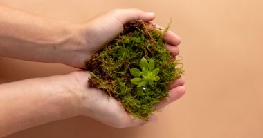 Magíster en Medio Ambiente y Desarrollo Sustentable