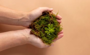 Magíster en Medio Ambiente y Desarrollo Sustentable