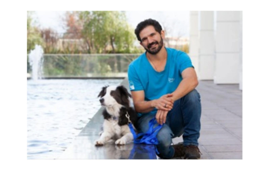 Director del Programa