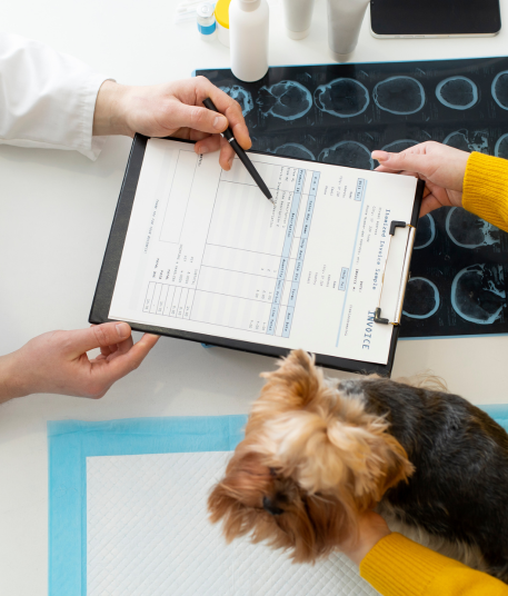 Diplomado en Etología Clínica, Entrenamiento y Vínculo Humano-Animal