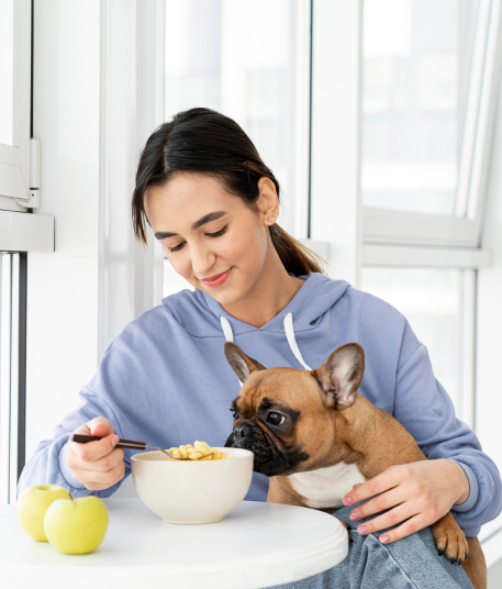 Diplomado en Nutrición en Perros y Gatos
