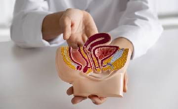 Especialidad Médica en Urología
